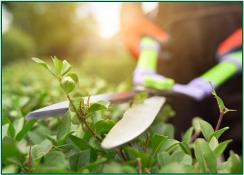 Plantation Solutions