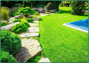 Lawn Designing